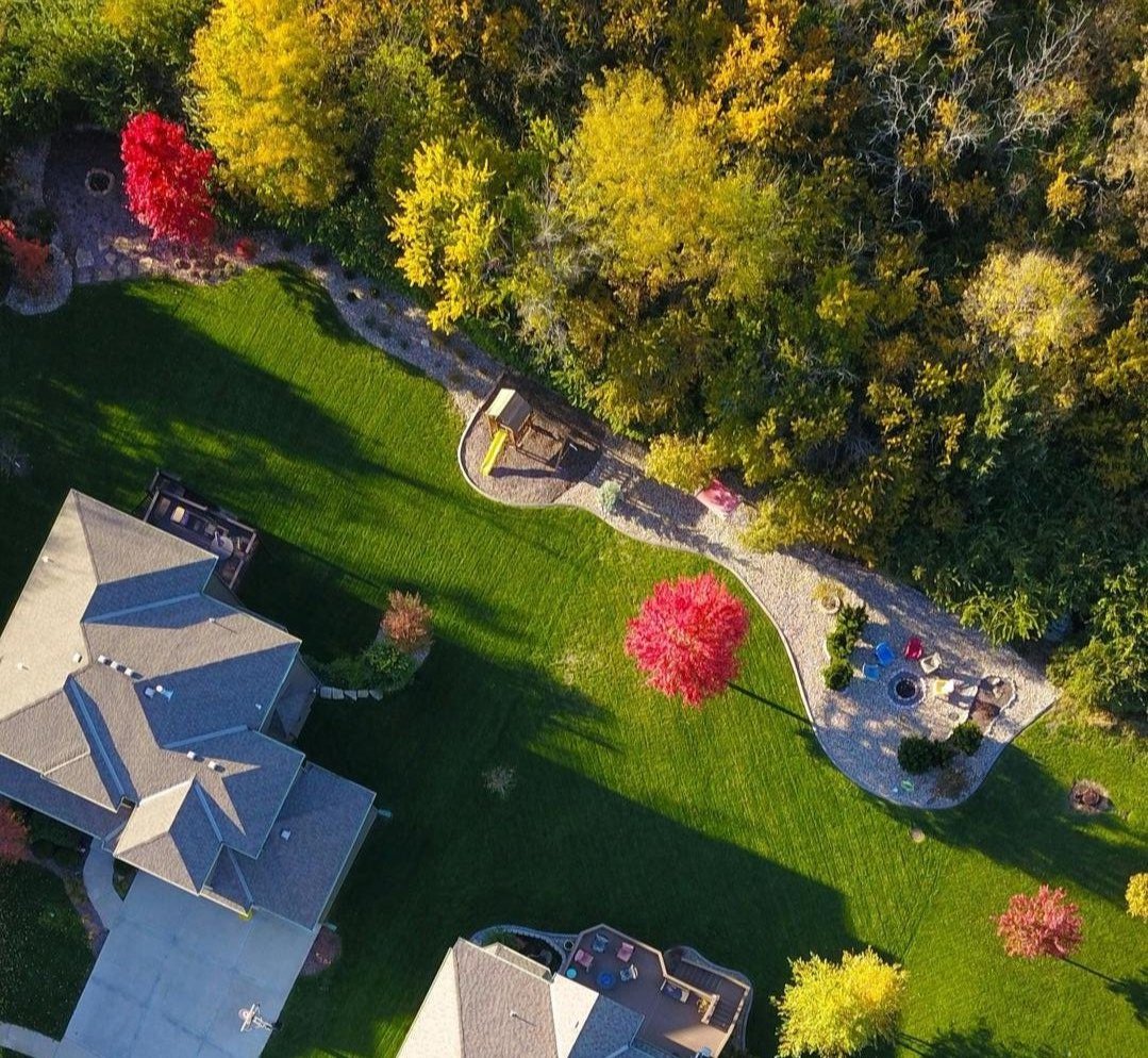 Tree mitigation and sustainable tree care near University Park, TX