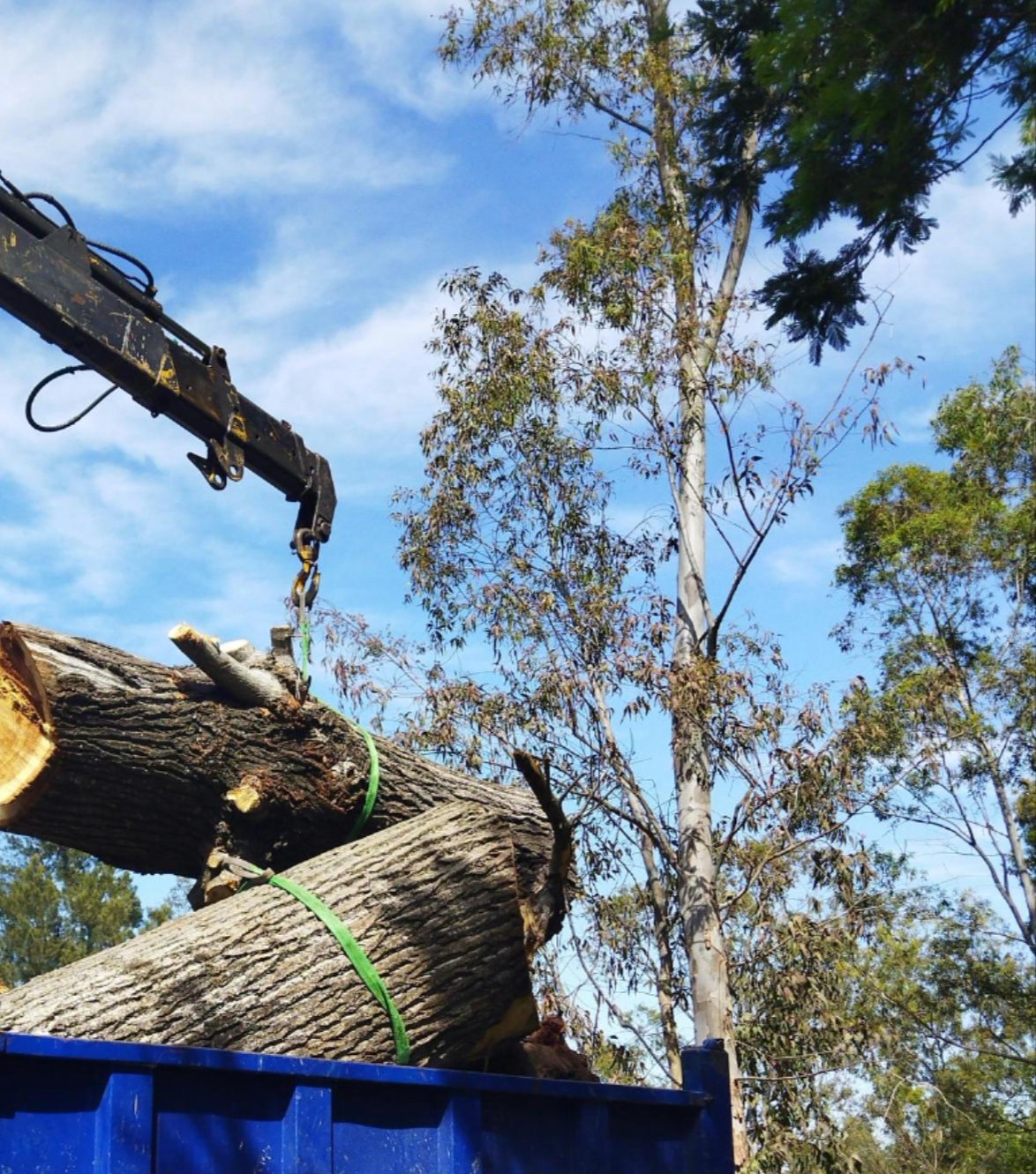 Lot clearing services in the Dallas–Fort Worth Metroplex Lot clearing services in the Dallas–Fort Worth Metroplex