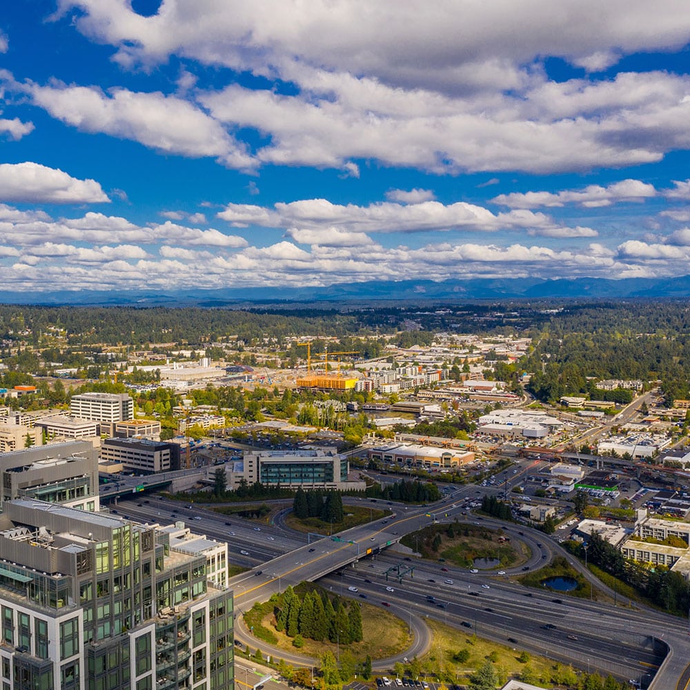 Eco-friendly carpet, tile, and upholstery cleaning services for homes and businesses in Bellevue, WA