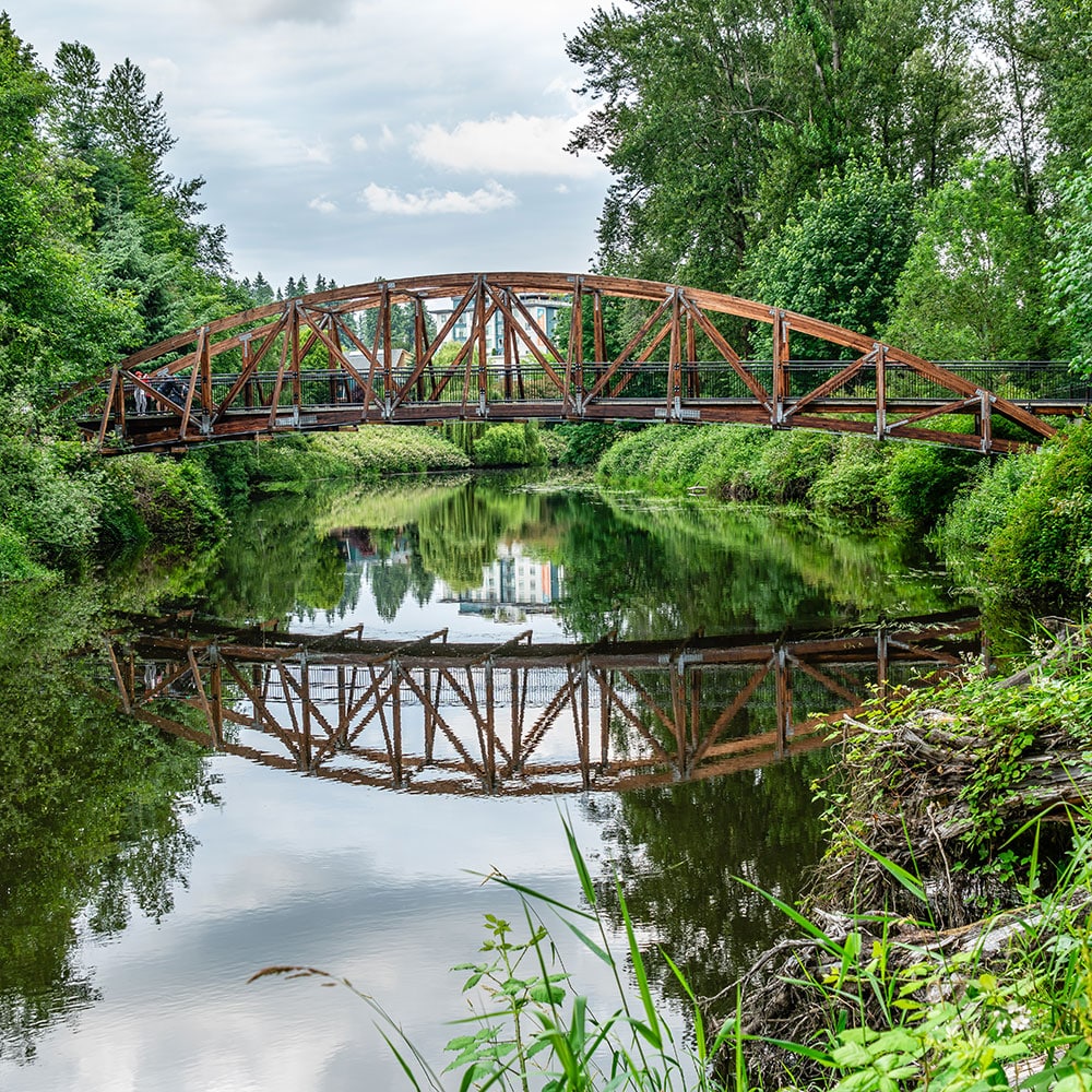 Eco-friendly carpet, tile, and upholstery cleaning services for homes and businesses in Bothell, WA