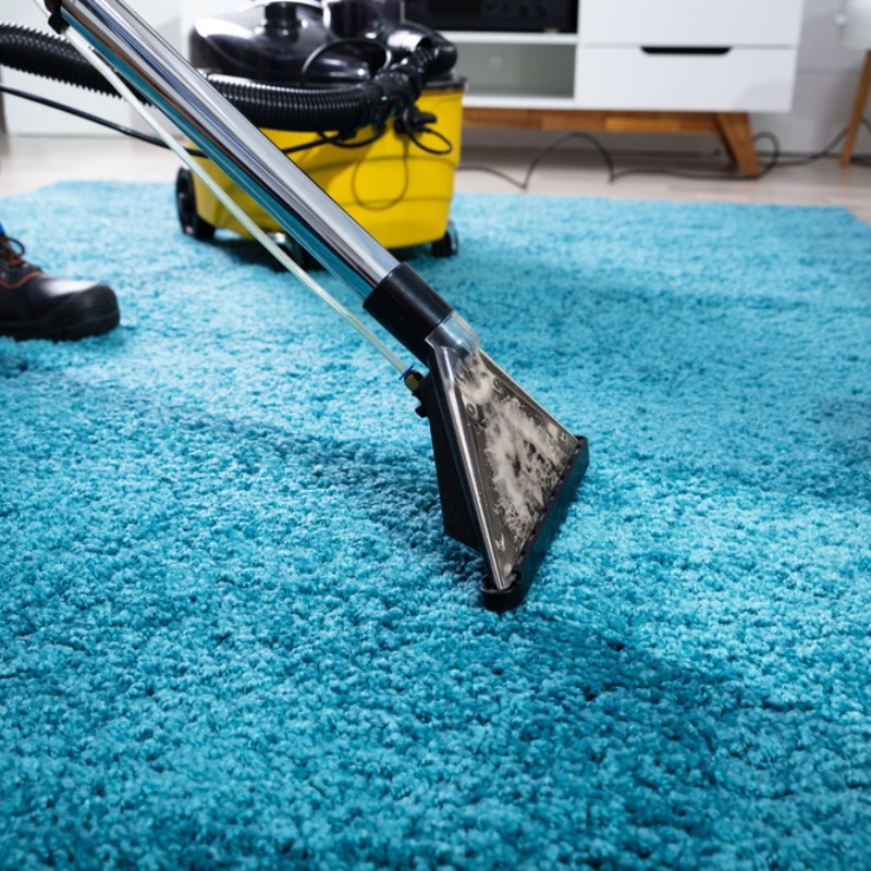 Professional area rug steam cleaning in Seattle, Bellevue, and Redmond by Anderson Carpet, Wood & Tile Cleaning Professional area rug steam cleaning in Seattle, Bellevue, and Redmond by Anderson Carpet, Wood & Tile Cleaning