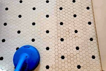 Eco-friendly carpet, tile, and upholstery cleaning services for homes and businesses in Bothell, WA