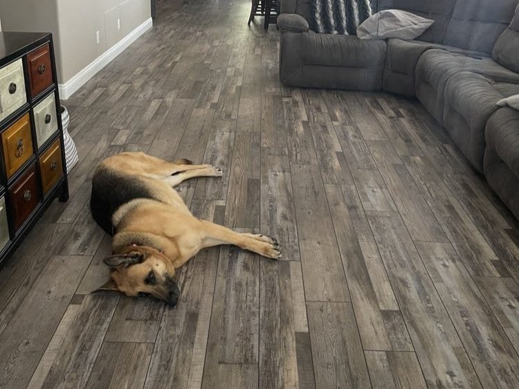 Hardwood Flooring Installation