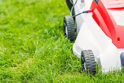 Commercial Lawn Care in Mauldin, SC by 864 Cleaning