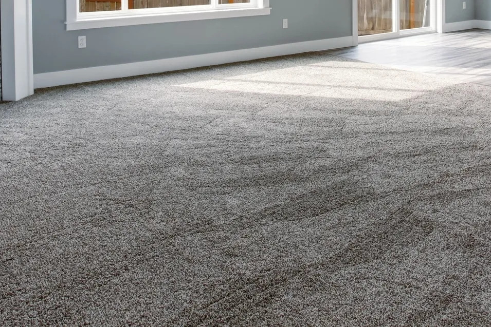 Carpet stain protection in Greenville, SC by 864 Cleaning