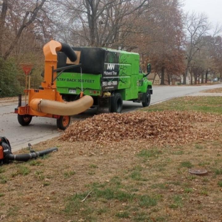 Tree Removal in Lenexa, KS Tree Removal in Lenexa, KS