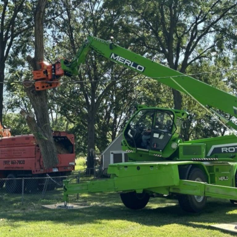 Tree Trimming services in Shawnee, KS
