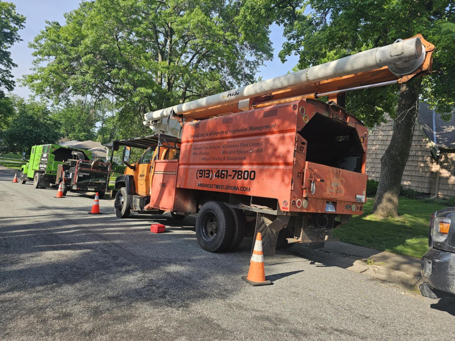 Midwest Tree in Lenexa, KS Midwest Tree in Lenexa, KS