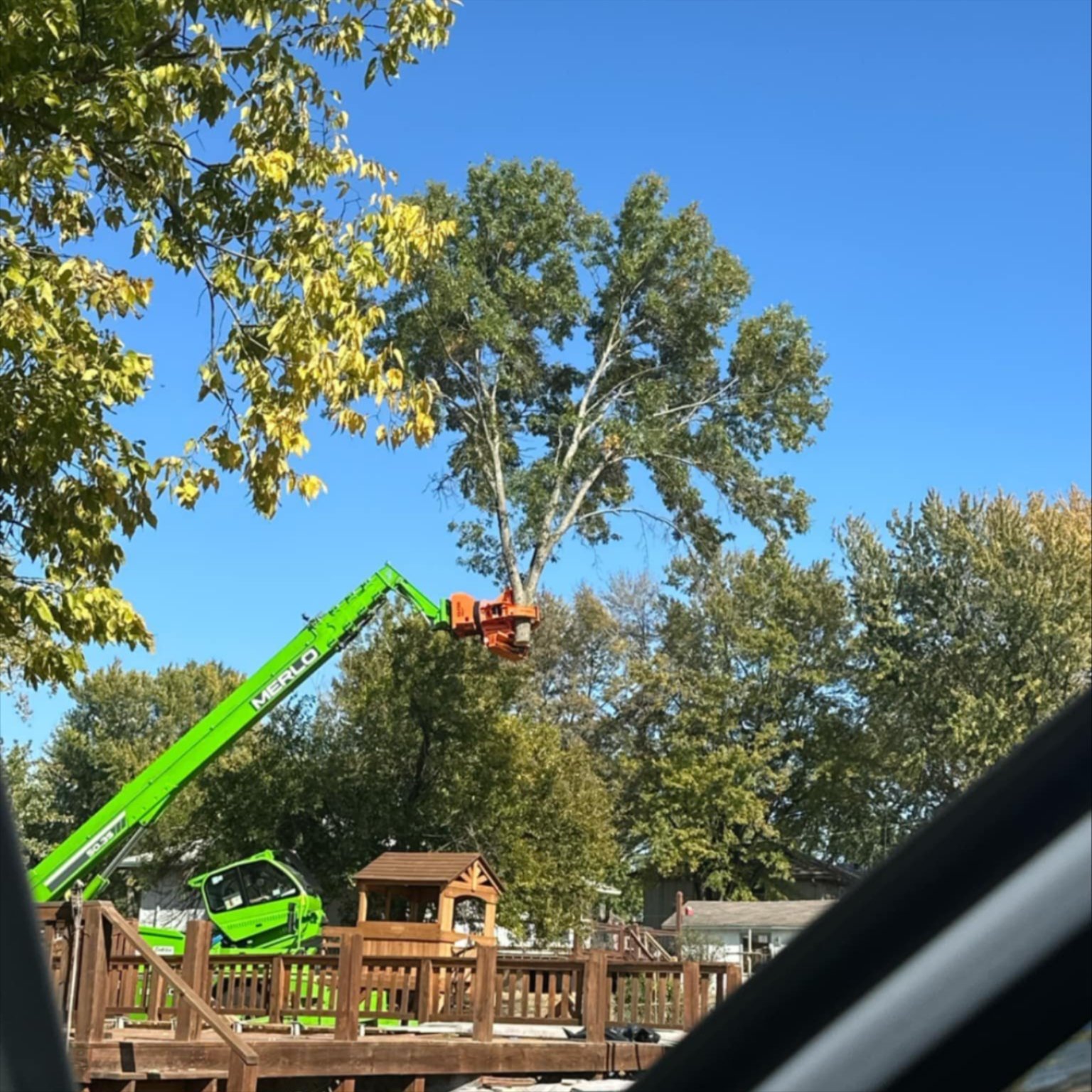 Tree Trimming services in Johnson County, KS