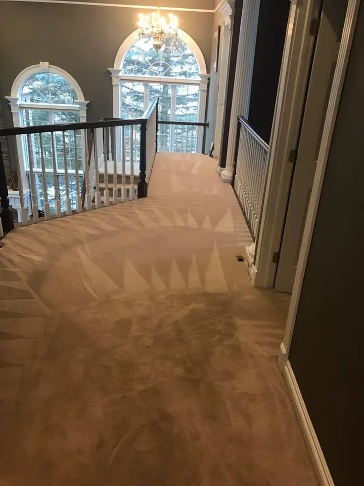 Magnolia Cleaning Services - Serving Oakland, Livingston, & Genesee County, MI