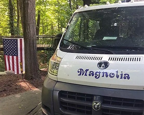 Magnolia Cleaning Services Stain Removal
