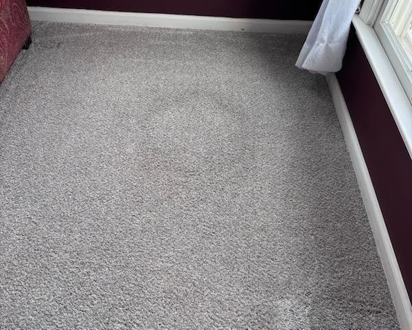 Magnolia Cleaning Services Stain Removal