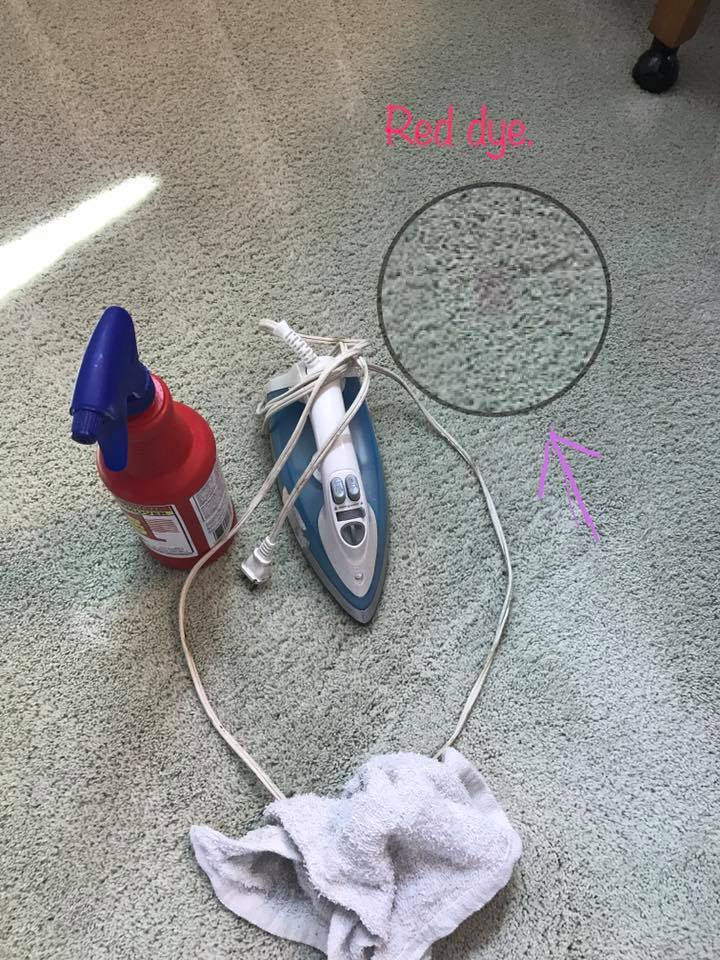 Magnolia Cleaning Services - Serving Oakland, Livingston, & Genesee County, MI