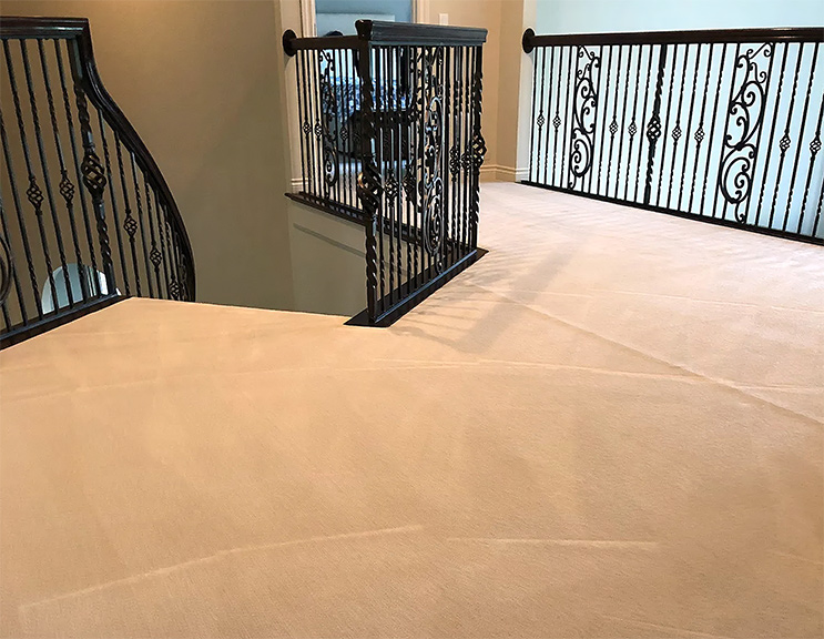 Magnolia Carpet Cleaning Services