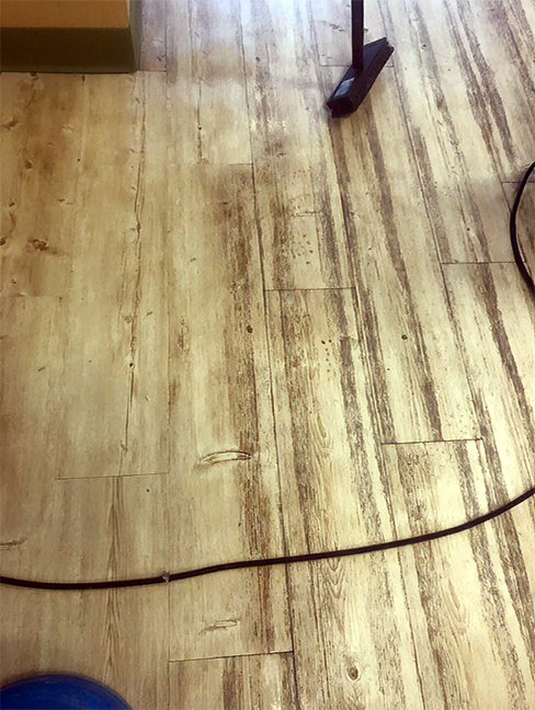 Magnolia Cleaning Services Hard Floor Maintenance & Restoration