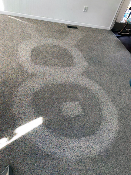 Magnolia Carpet Cleaning Services