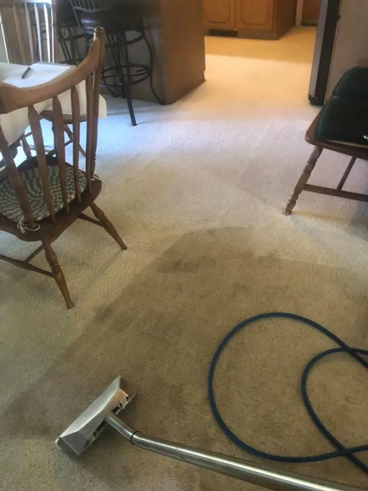 Magnolia Cleaning Services - Serving Oakland, Livingston, & Genesee County, MI