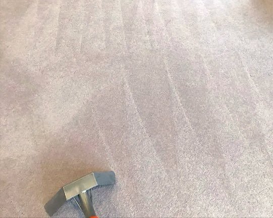 Magnolia Cleaning Services | Pet Odor Removal