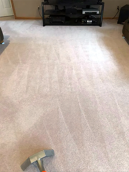 Magnolia Carpet Cleaning Services