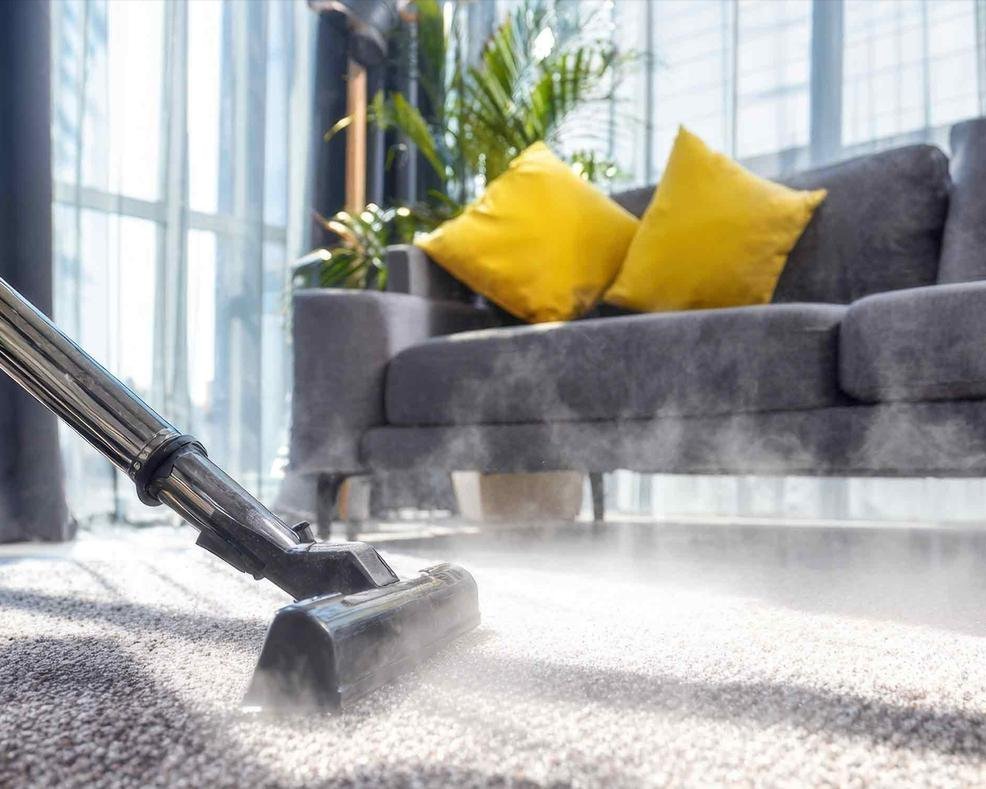 Carpet Cleaning - Magnolia Services