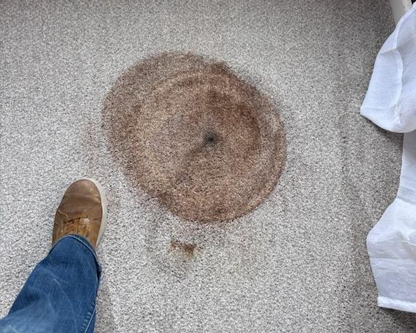 Magnolia Cleaning Services Stain Removal