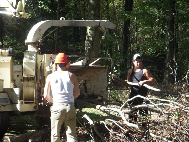 Chipping & Stump Removal services in Newtown, CT