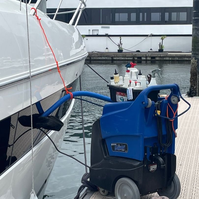 Pet odour removal in West Vancouver, BC