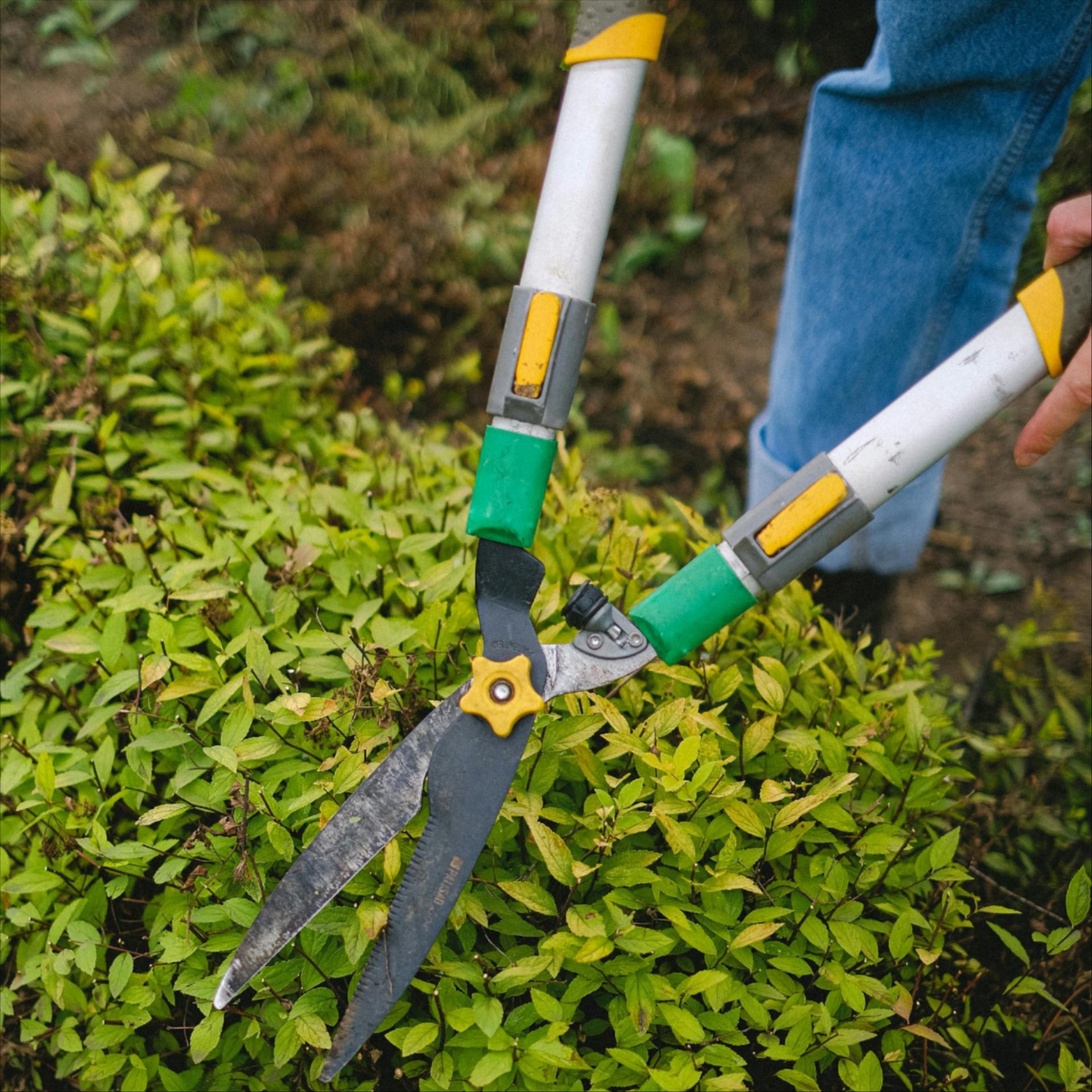 Landscape services in Vicksburg, MI and beyond