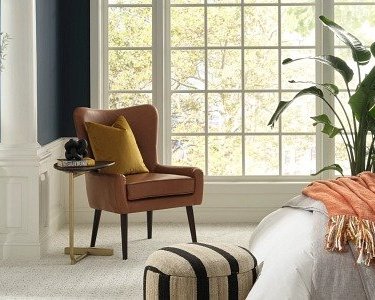 Warm, Cozy Carpet in Ellerslie, GA