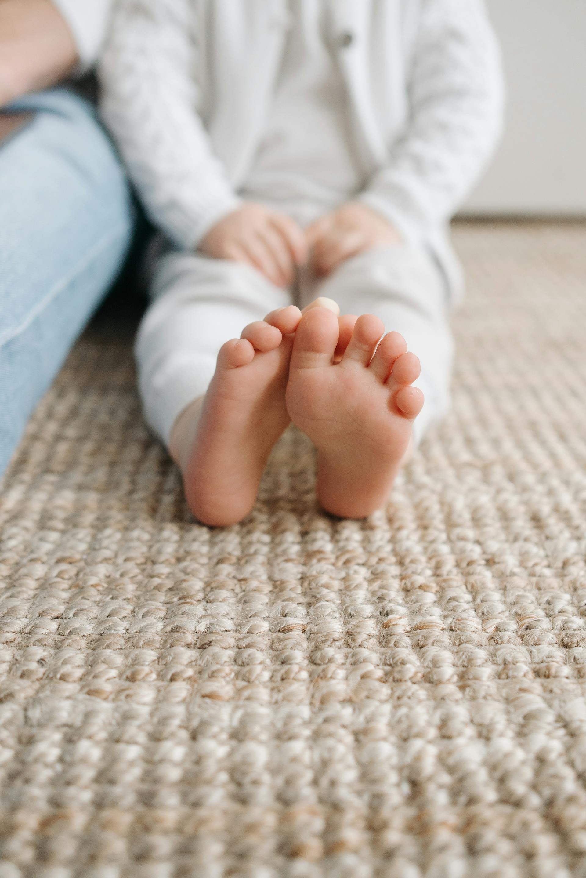 Carpet Cleaning Services in the Seattle Area
