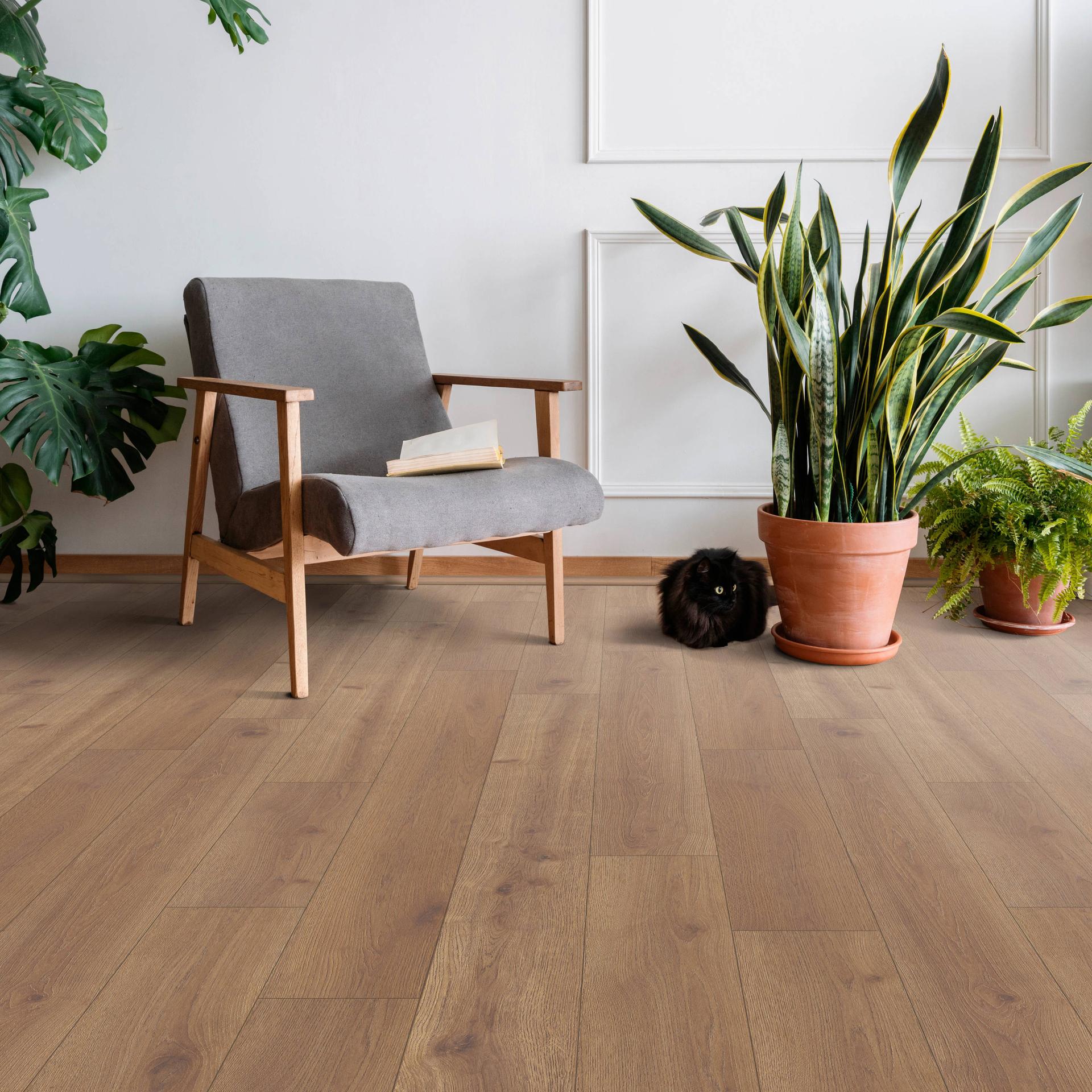 Flooring trends in Osprey, FL Flooring trends in Osprey, FL