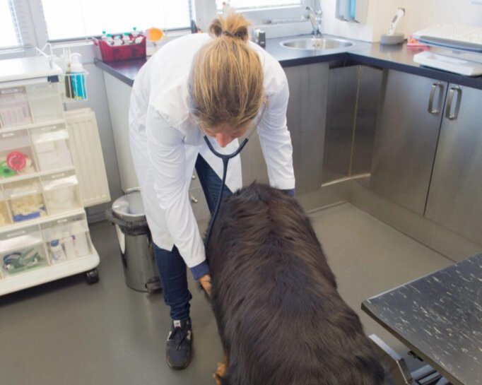 Vinyl Composite Tile Installation by West Broad Flooring