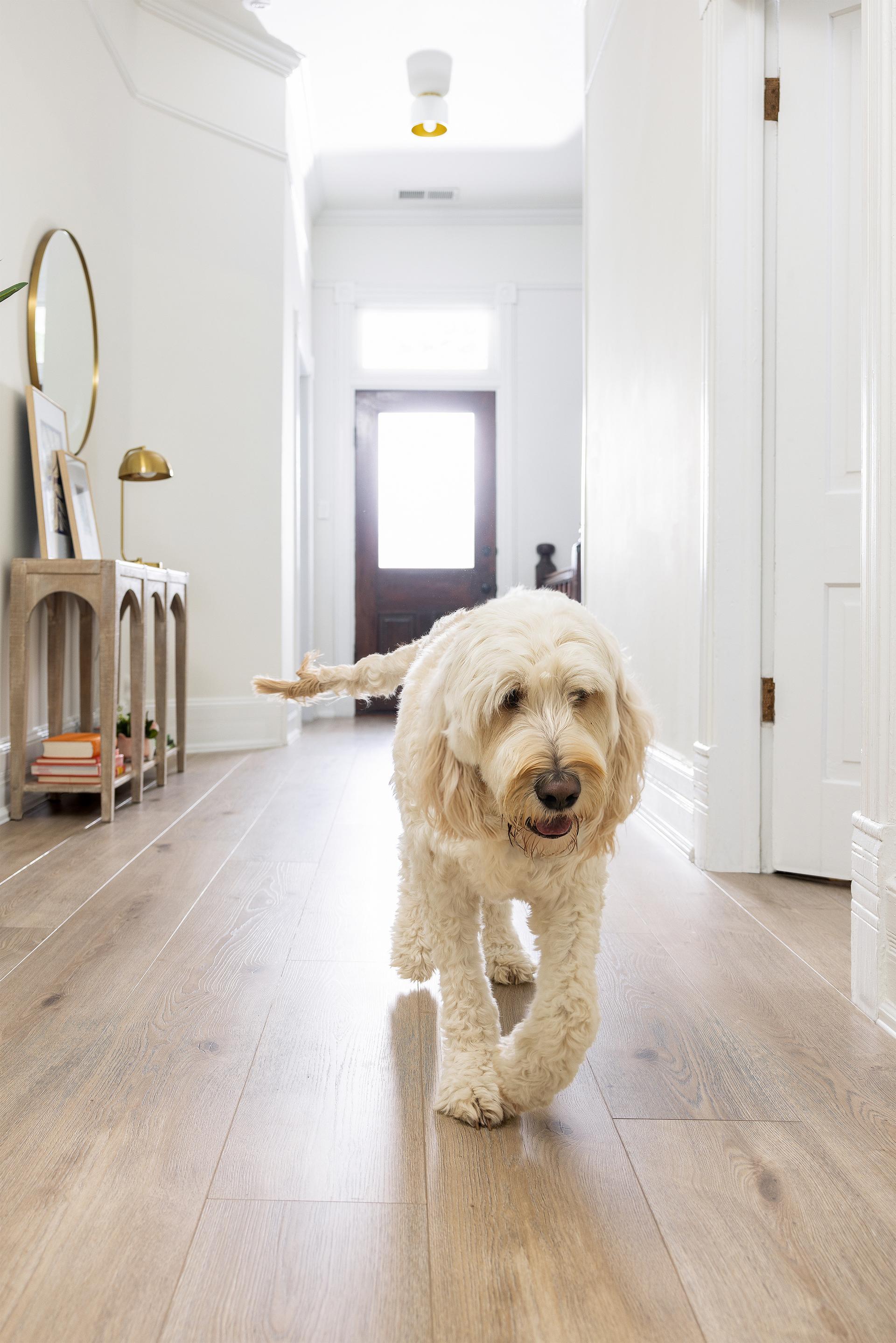 Luxury vinyl flooring installers in Cookeville, TN Luxury vinyl flooring installers in Cookeville, TN