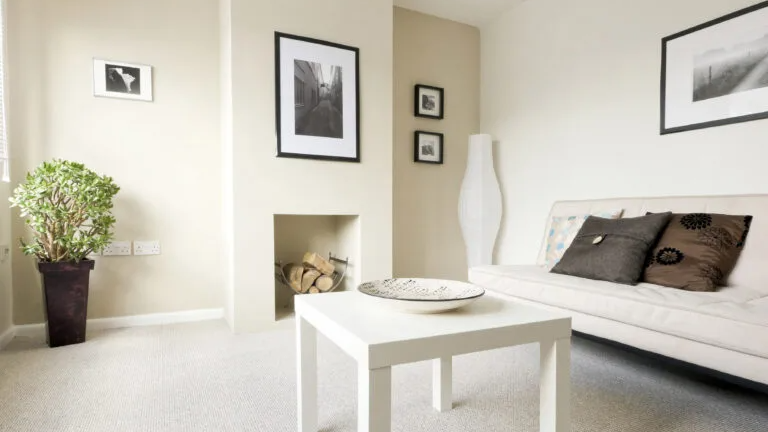 A cozy living room adorned with beautiful carpet flooring, showcasing comfort and style.