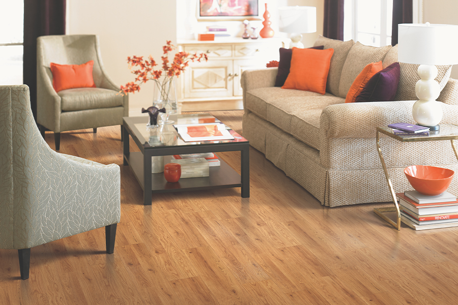 Professional Laminate Flooring installation in Eustis, FL Professional Laminate Flooring installation in Eustis, FL