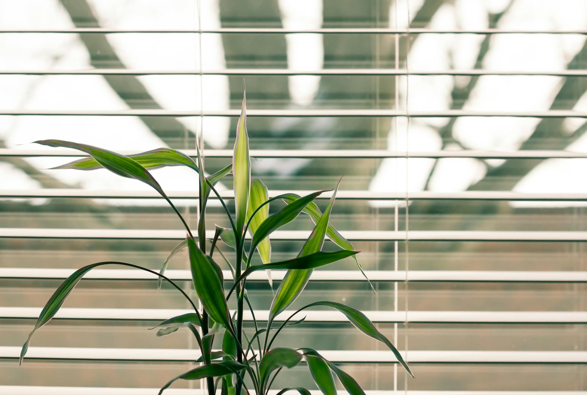 Blind Cleaning services in Sun Valley, ID