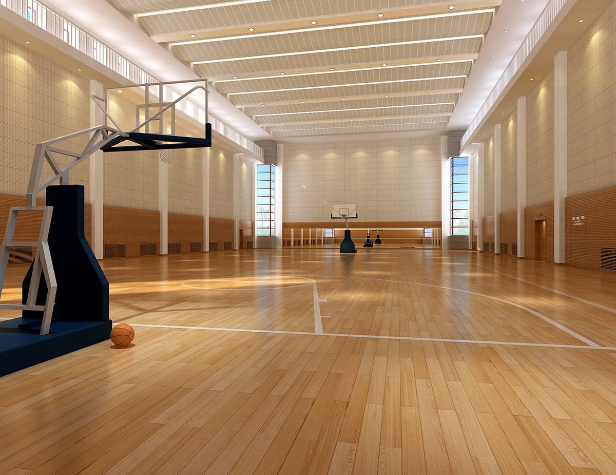 Danmark Floors DeWitt, MI 