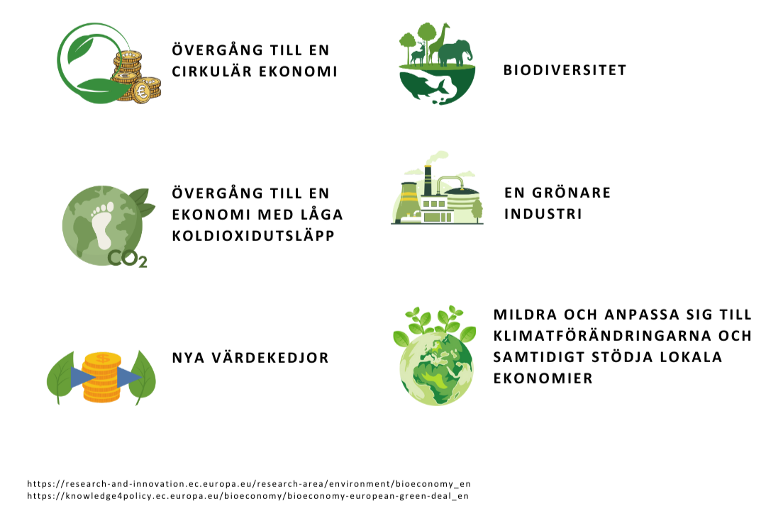 Free courses on Bioeconomy: join us!