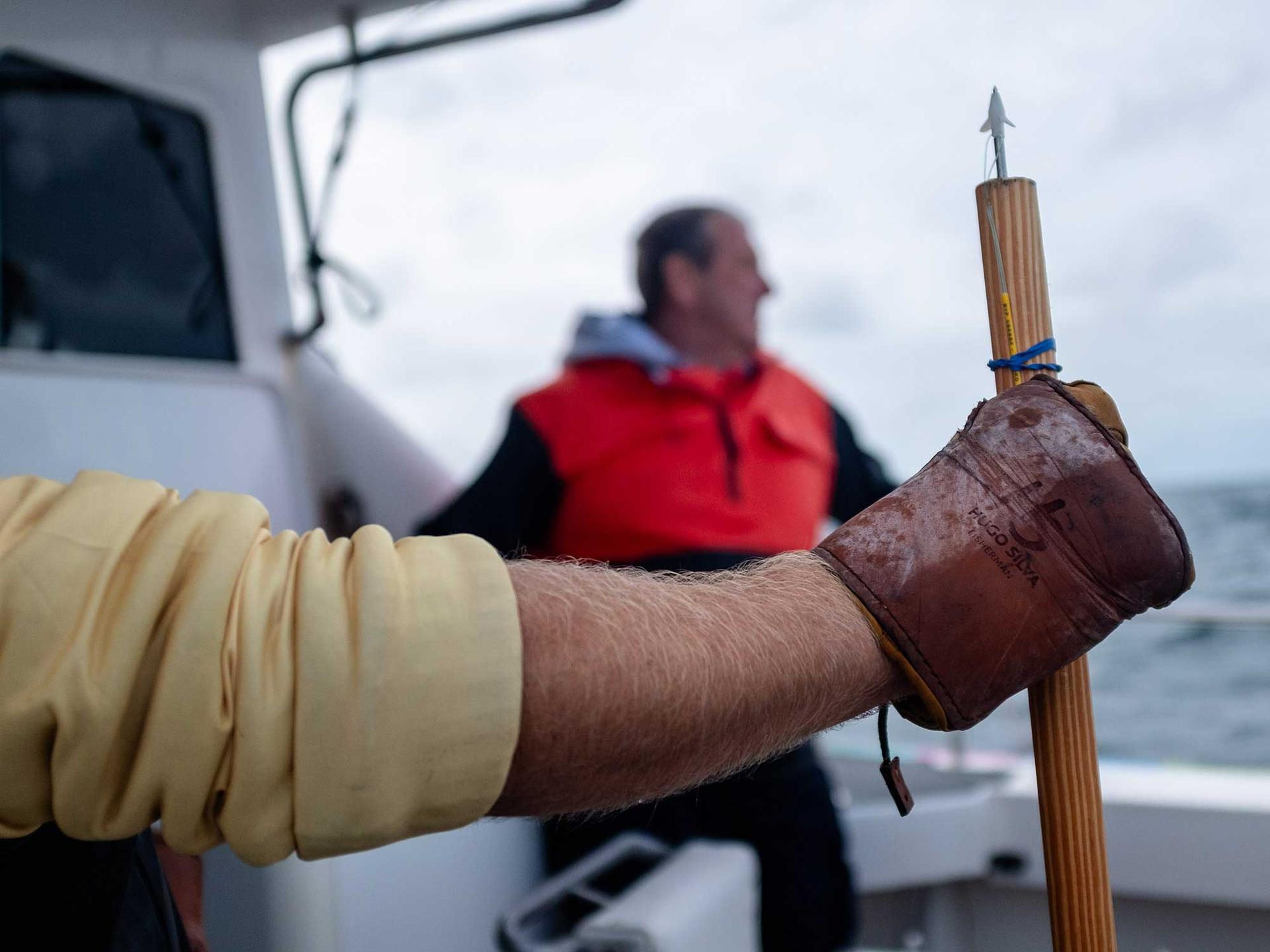 Tagging a Bluefin