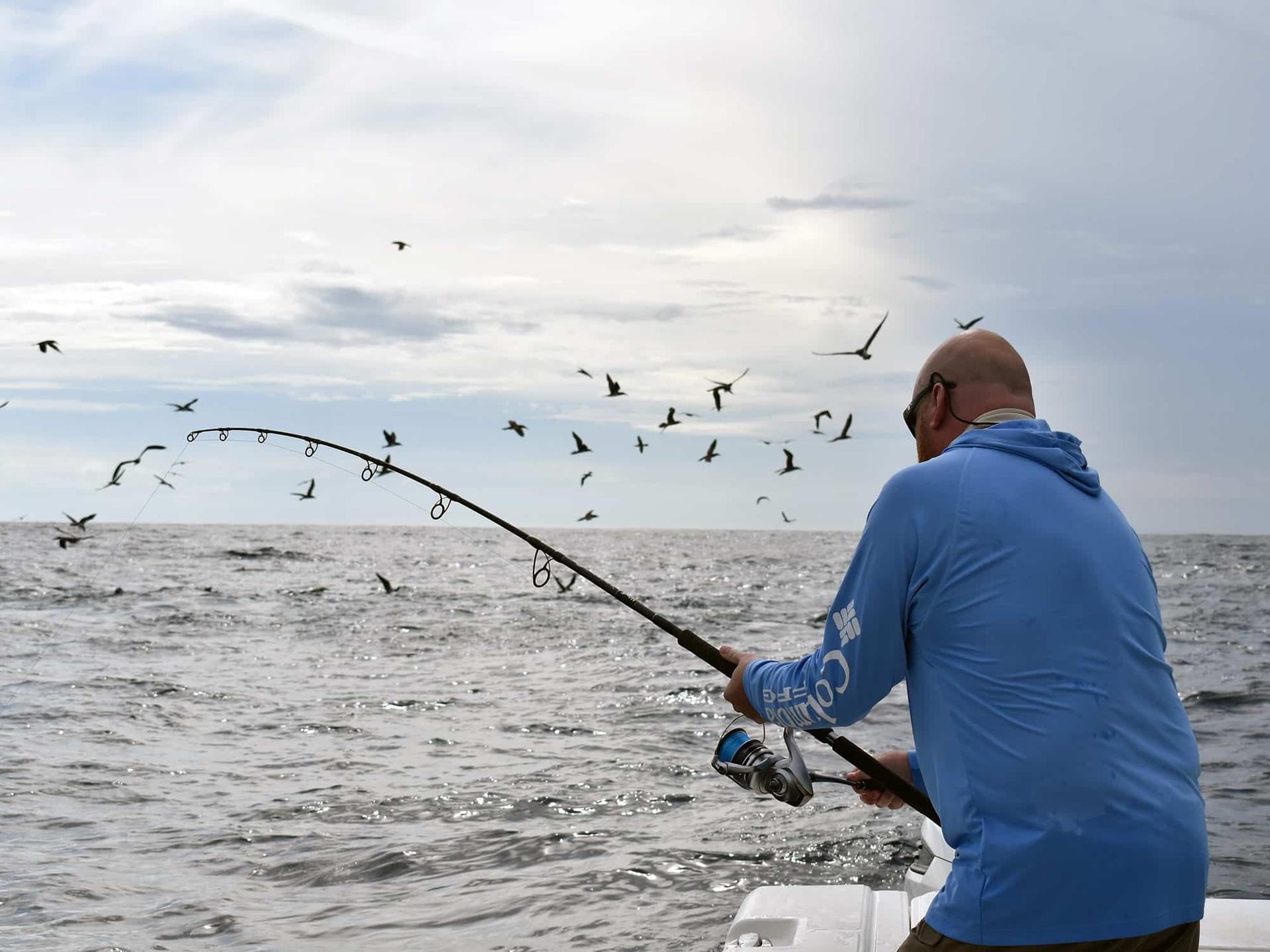 Fishing for Tuna