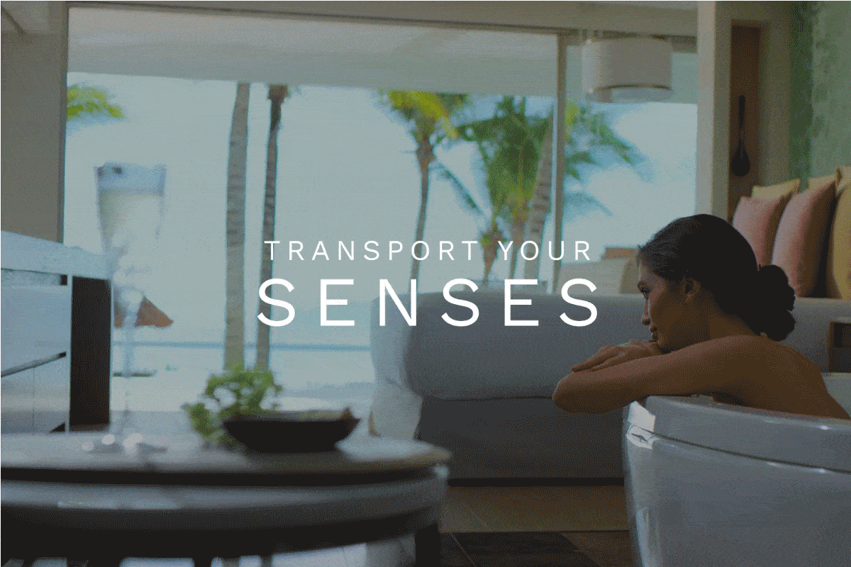 Transport Your Senses