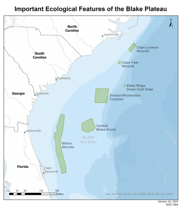 June 1st is World Reef Day! - Coastal Conservation League