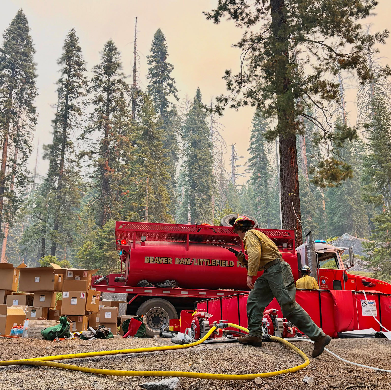 A firefighter races past a red firetruck and a yellow sprinkler hose in a smoky sequoia grove