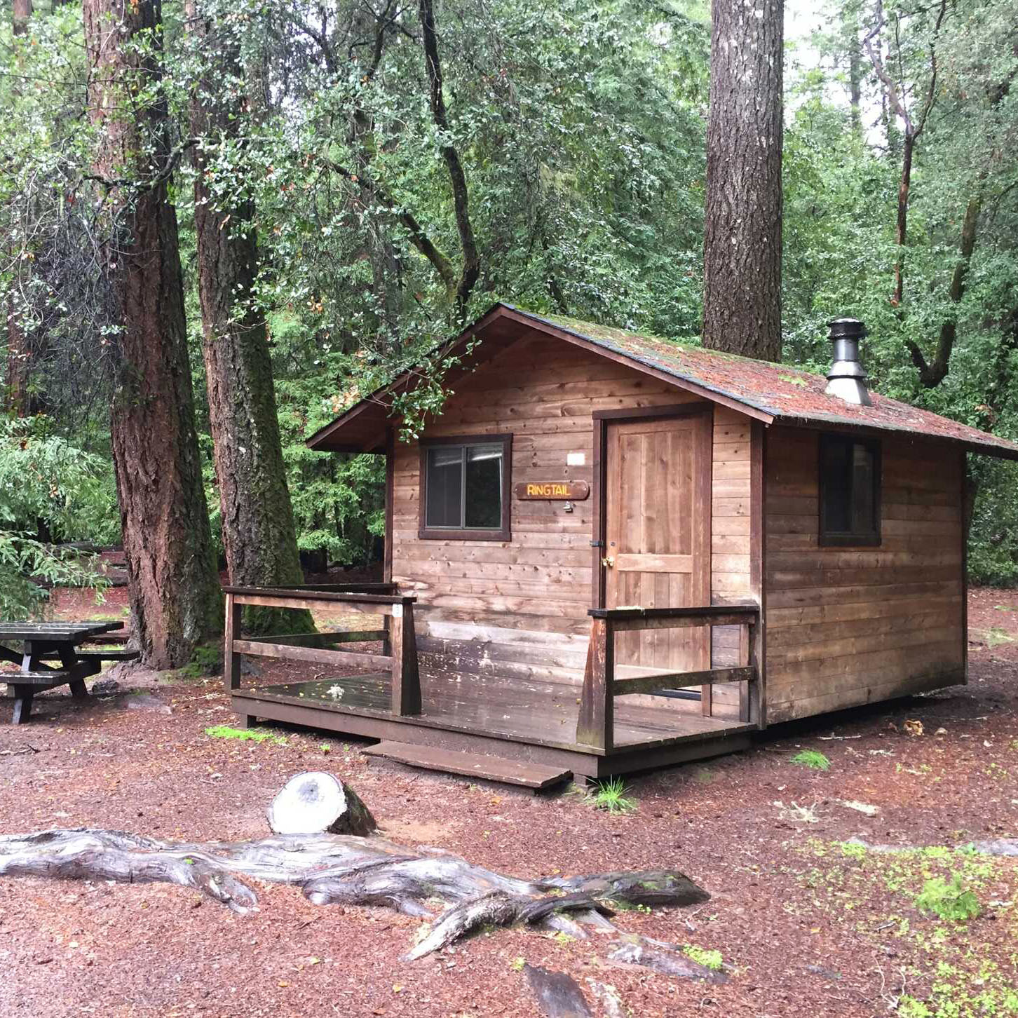 quaint wooden cabin in the forest