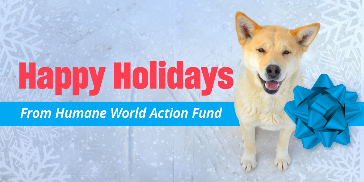Happy Holidays From Humane World Action Fund