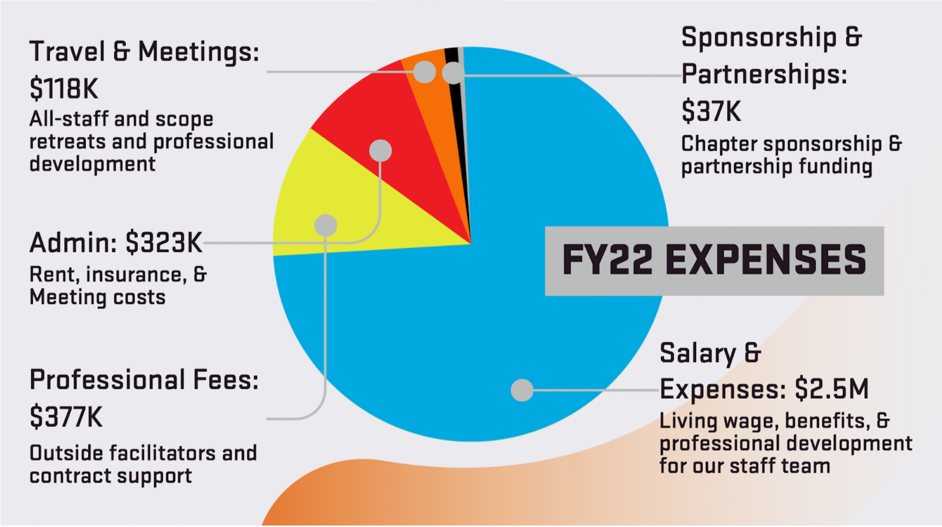 Pie chart demarcating the different RG expenses for 2022. Salary and Expenses $2.5m. Professional Fees $377k. Admin  $323k. Travel and Meetings $118k. Sponsorship and Partnerships $37k. 