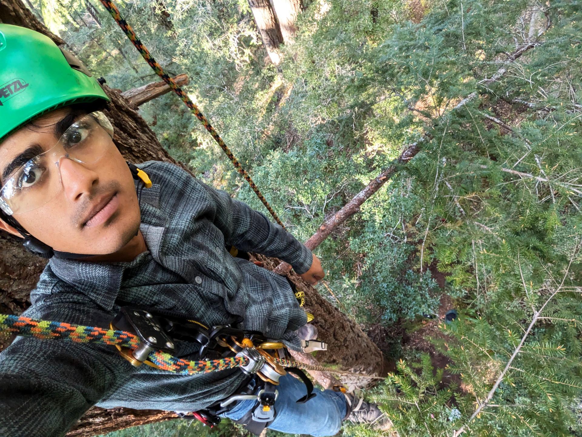 A young man wearing a greet hard hat takes a selfie while dangling high in the forest canopy