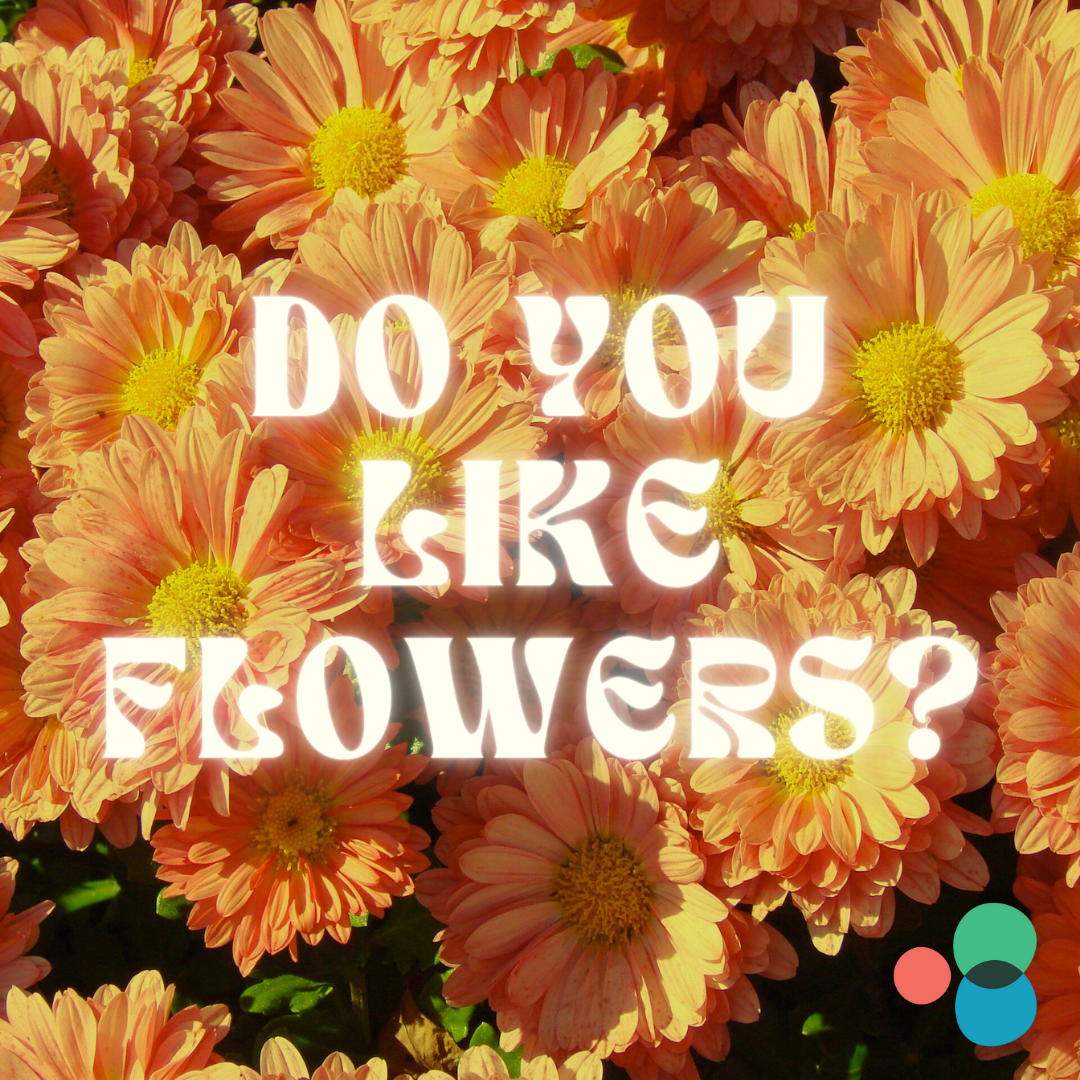 There are a bunch of orange flowers with sunlight shining on them. ''Do you like flowers?'' in white text that is glowing.  