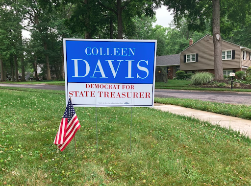 Image of Colleen Davis yard sign