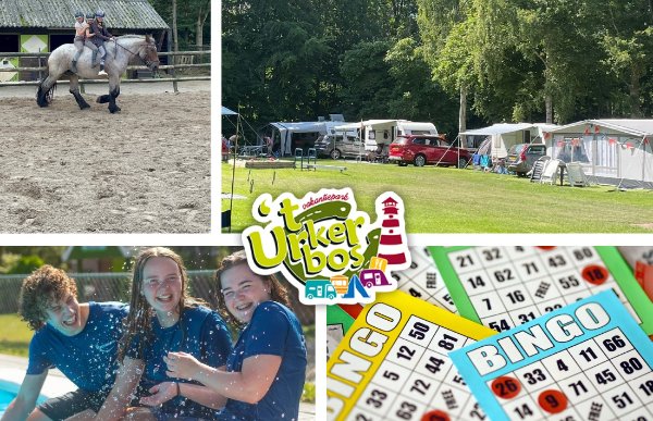 Een impressie van activiteiten die Vakantiepark 't Urkerbos organiseert